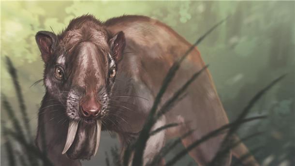 Säbelzahn-Beuteltier mit Rehblick Eine Rekonstruktion des Thylacosmilus atrox.