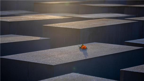 Eine Rose liegt anlässlich des Internationalen Tags des Gedenkens an die Opfer des Holocaust auf einer Stele des Denkmals für die ermordeten Juden Europas.