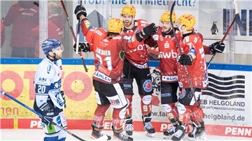 Pinguins