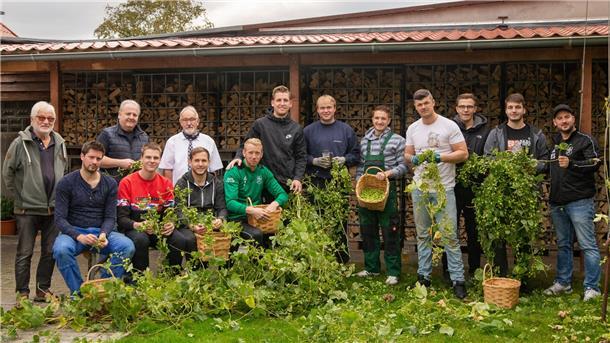 Eine Trainingseinheit der besonderen Art: Die Fußballer des TSV Abbehausen und des SV Phiesewarden haben im Hopfengarten des Butjadinger Tors rund 20 Kilogramm Hopfen-Dolden gezupft.