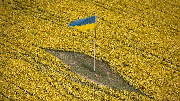 Krieg gegen die Ukraine: So ist die Lage Eine ukrainische Nationalfahne steht inmitten eines blühenden Feldes in der Nähe von Browary.
