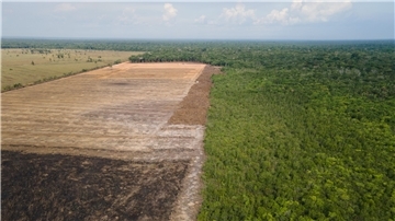 Eine verbrannte und abgeholzte Fläche im Amazonas-Gebiet (Archivbild).