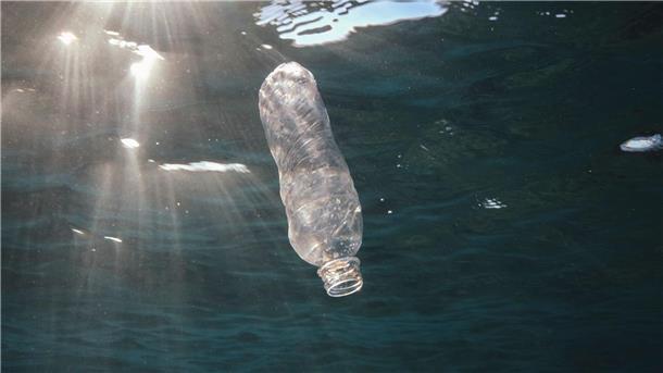Deutschland exportiert weniger Plastikmüll Eine weggeworfene Plastikflasche im Roten Meer vor Ägypten.