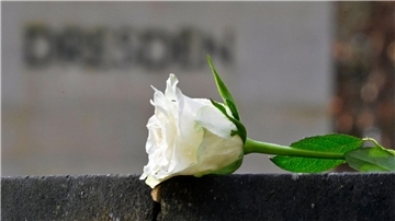 Eine weiße Rose als Symbol der Erinnerung auf dem Heidefriedhof.