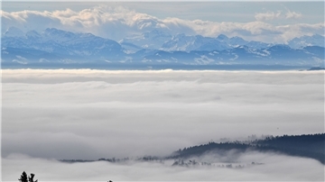 Einen so dichten Nebel sieht man über dem Bodensee immer seltener.