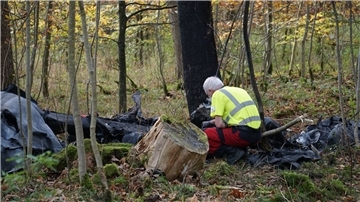 Einsatzkräfte an der Absturzstelle eines Kleinflugzeugs im Alb-Donau-Kreis.