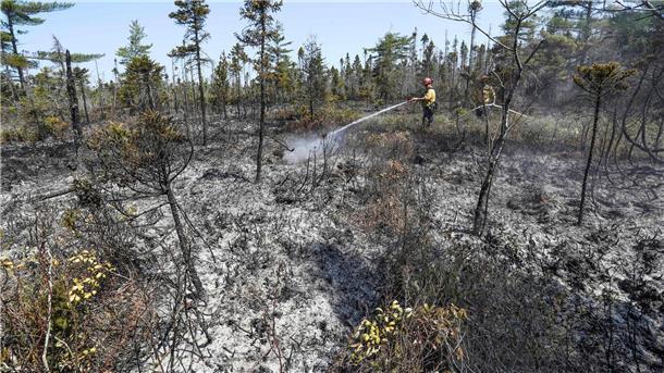 Zahlreiche Waldbrände in kanadischer Provinz Québec Einsatzkräfte bei Löscharbeiten in einem Waldgebiet in Kanada.