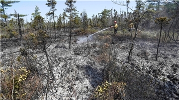 Einsatzkräfte bei Löscharbeiten in einem Waldgebiet in Kanada.