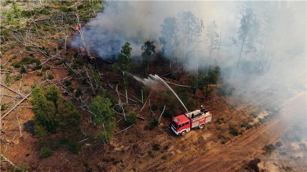 Einsatzkräfte der Feuerwehr bekämpfen in einem Waldstück nahe Jüterbog das Feuer.