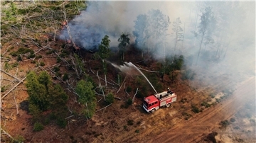 Einsatzkräfte der Feuerwehr bekämpfen in einem Waldstück nahe Jüterbog das Feuer.