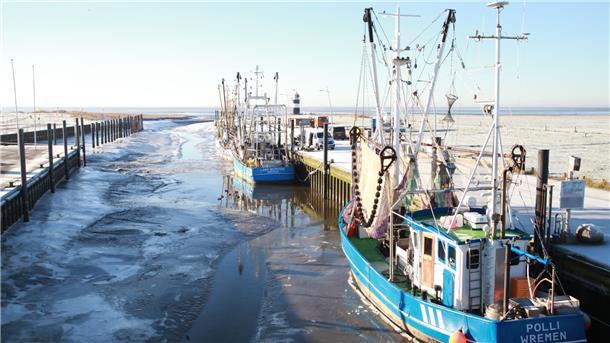 Eisige Temperaturen und gefrorenes Wasser sorgen für Winterzauber im Wremer Kutterhafen.