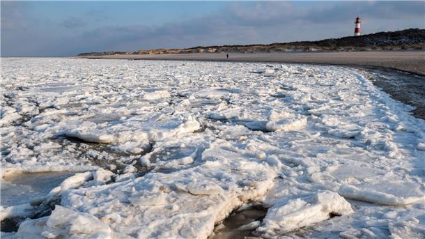 Winter im Watt - Welche Tiere der Kälte trotzen Eisschollen im Wattenmeer wirken wie Hobel, die das Leben vom Boden abrasieren können (Archivbild).