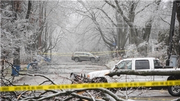 Eissturmschäden blockieren eine Straße in Kalamazoo.