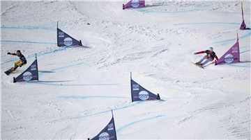 Elias Huber schaffte den Sprung ins Viertelfinale nicht.