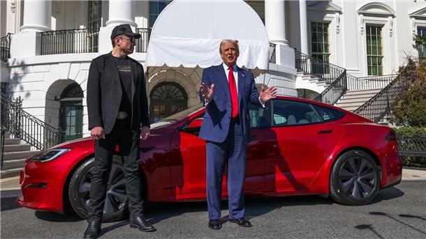 Elon Musk berät US-Präsident Donald Trump.