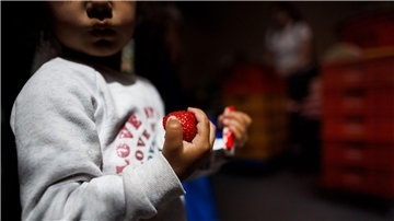 Sozialverband: 24 Milliarden Euro für Kindergrundsicherung Ende August sollen Einzelheiten der geplanten Kindergrundsicherung vorliegen.
