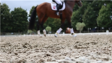 Sand, Pferd im Hintergrund