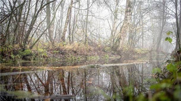 „Enorme Chance für Klimaschutz“ - BUND setzt auf nasse Moore Entwässerte Moore geben Treibhausgase in die Atmosphäre ab und beschleunigen so die Erderwärmung. (Archivbild)