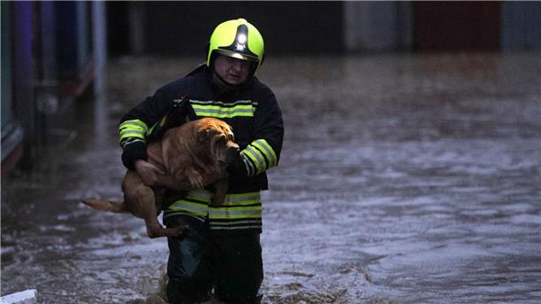 Bilder des Tages Er ist in Sicherheit: Im Norden des Kosovos kämpfen Katastrophenschützer und freiwillige Helfer gegen schwere Überschwemmungen.