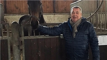 Pferd mit Mann