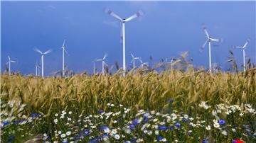 Erneuerbare Energien zu produzieren ist nur eine Möglichkeit, um die Nachhaltigkeitsziele der Vereinten Nationen zu erreichen. Diesen haben sich Bund und Land verpflichtet. Ein Antrag sieht vor, dass dies auch der Landkreis tun sollte.