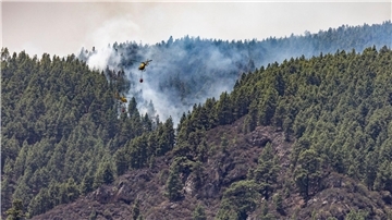 Erst im August hatte es einen verheerenden Waldbrand auf der spanischen Urlaubsinsel gegeben. Wie auf dem Bild zu sehen, waren auch Löschhubschrauber im Einsatz. (Archivbild)