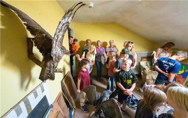 Erstaunlich, erstaunlich, erstaunlich: Die Tierpräparate aus alten Zeiten wecken...