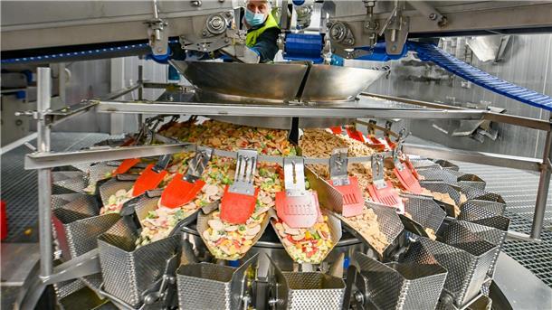 Ein vegetarisches Hühner Frikassee wird bei Frosta produziert.