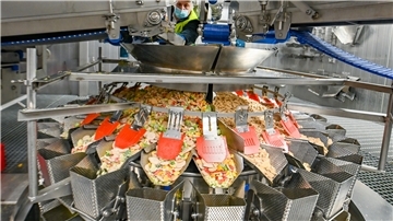 Ein vegetarisches Hühner Frikassee wird bei Frosta produziert.