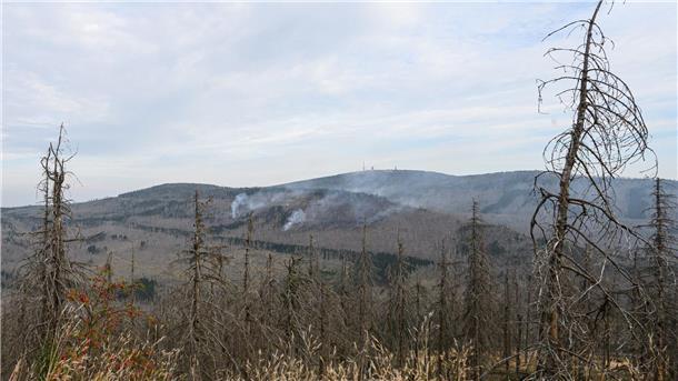 Feuerwehr bekämpft Glutnester am Brocken Es gibt noch mehrere Brandstellen am Brocken (Foto aktuell).