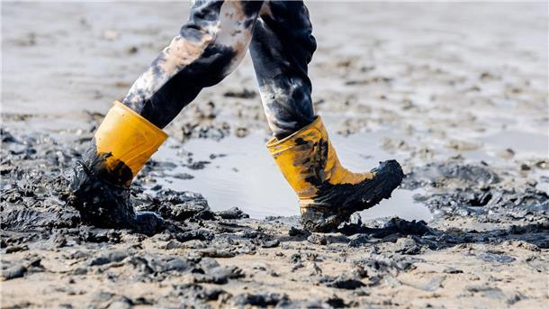 Sonne strahlt zum Auftakt des Watt en Schlick Festivals Es ist das Musikfestival am Wattenmeer: Zum „Watt en Schlick Festival“ in Dangast (Landkreis Friesland) werden täglich rund 6.500 Gäste erwartet.