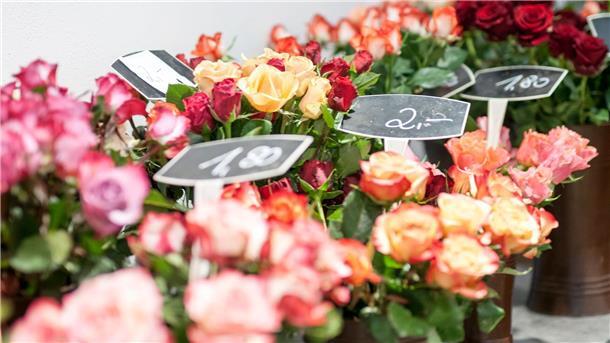 Etwa 6.000 Blumenfachgeschäfte gibt es in Deutschland. (Archivbild)