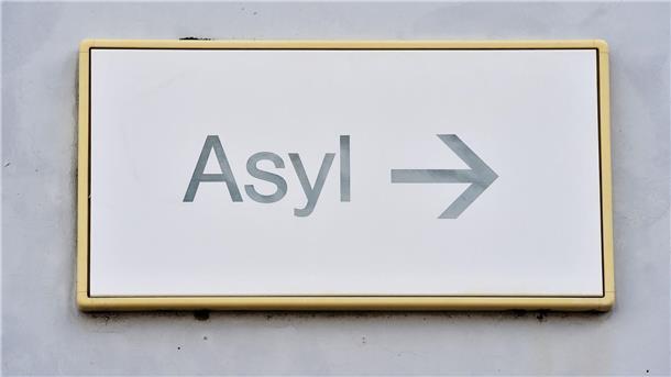 Weniger Asylanträge - Grenzkontrollen bleiben vorerst Etwa drei Fünftel der im Jahr 2024 gestellten Asylanträge entfielen auf drei Hauptherkunftsländer - Syrien, Afghanistan und Türkei.