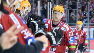 Ex-Pinguins-Verteidiger Stanislav Dietz zieht es von den Kölner Haien nun zu den Iserlohn Roosters.