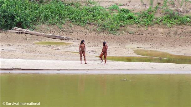 Unkontaktiertes Volk nahe Abholzungsgebiet in Peru gesichtet Experten warnen vor Krankheiten und Gewalt.