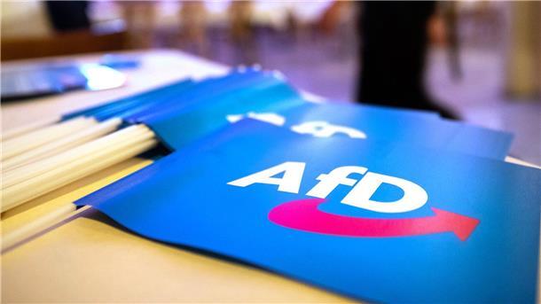 Fähnchen mit dem Logo der AfD.