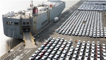 Fahrzeuge stehen im Hafen von Emden zur Verschiffung bereit.