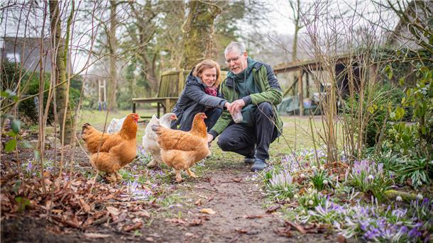 Familie Allhusen in Drangstedt freut sich schon auf die Besucher zur „Offenen Gartenpforte“ im Juni. Die Gäste aus der Region werden nicht nur die Spielarten eines liebevoll gestalteten Wildgartens erleben, sondern auch die fünf Hühner, die Kerstin und Peter Allhusen auch an diesem Morgen füttern.