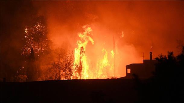 Griechenland: Mehr als 300 Brandstifter festgenommen Fast immer sind die Brände menschengemacht - ob aus Versehen oder mit Absicht. (Archivbild)