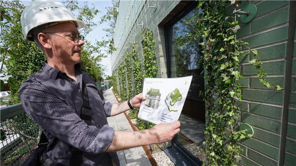 Felix Holzapfel-Herzinger, Landschaftsarchitekt, steht auf dem begrünten und bepflanzten Aufbau auf dem Dach des Hochbunkers auf dem Heiligengeistfeld.