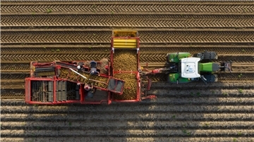 Feuchtes Wetter stellt in diesen Tagen die Kartoffelernte in Niedersachsen vor Probleme. (Archivfoto)