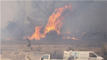 Feuer auf Rhodos: Freiwillige bekämpfen die vielen Feuer mit einfachsten Mitteln, Gartenschläuche und Feuerlöscher kommen zum Einsatz.