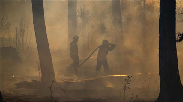 Feuerwehrleute bekämpfen einen Waldbrand.