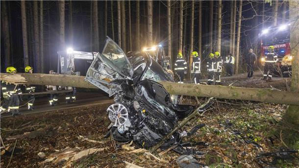 Auto von Baum durchbohrt - Fahrerin überlebt Feuerwehrleute betrachten das Auto im österreichischen Aurolzmünster, das in einen liegenden Baumstamm krachte.