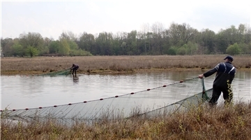 Fischbergung auf einer überschwemmten Wiese