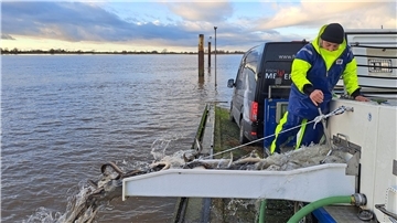 Fischer Alexander Meyer aus Hameln entlässt am Alten Fähranleger Dedesdorf mehr als 1700 Fische aus dem Aal-Taxi in die Weser. 