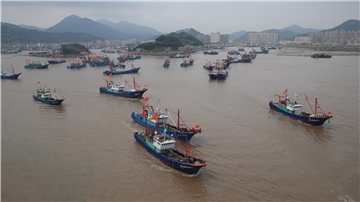 Fischerboote verlassen den Hafen Shipu in der Provinz Zhejiang. Eine Ausweitung der Meeresschutzgebiete würde nicht nur den Lebensraum der dortigen Bewohner schützen, sondern auch außerhalb der Gebiete die Vielfalt und Anzahl mariner Arten erhöhen.