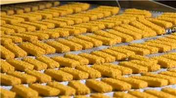 Fischstäbchen in der Produktion