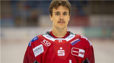 Fischtown Pinguins