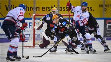 Fischtown Pinguins gegen Adler Mannheim: Patch Alber mitten im Geschehen - jetzt hat er für zwei Spielzeiten verlängert.